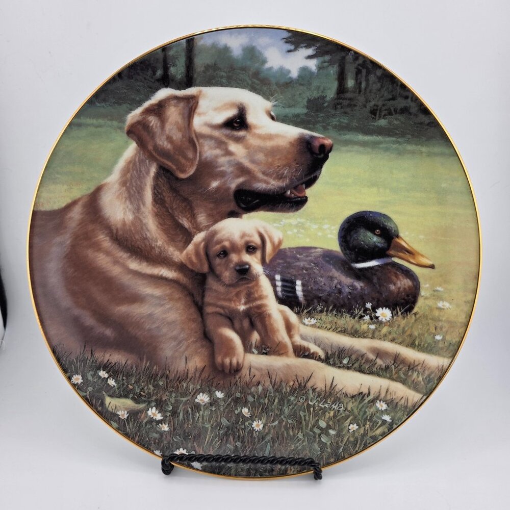 The Hamilton Collection Limited Edition Like‎ Father Like Son Collector Plate